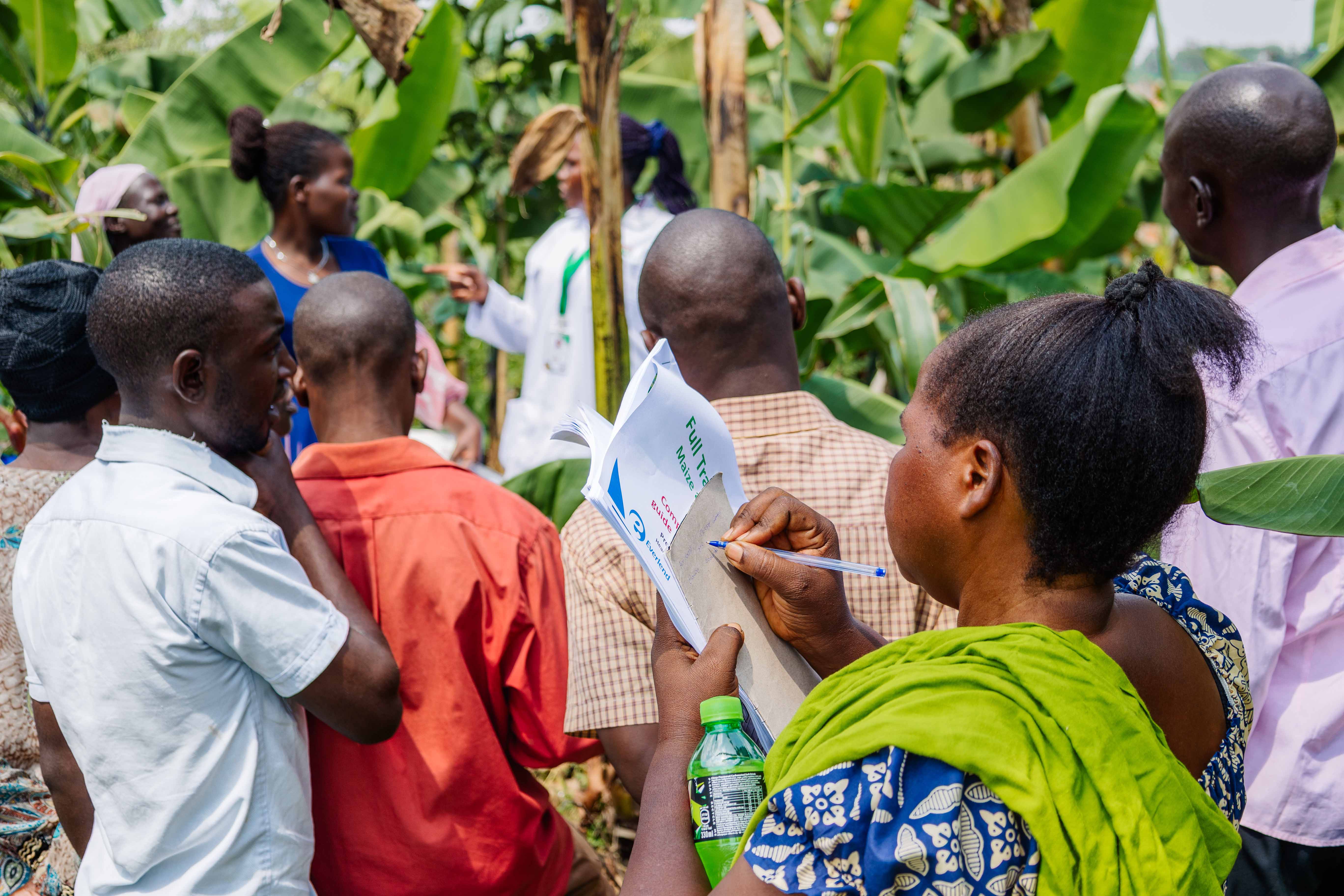 From Subsistence to Commercial Farming: John's Journey