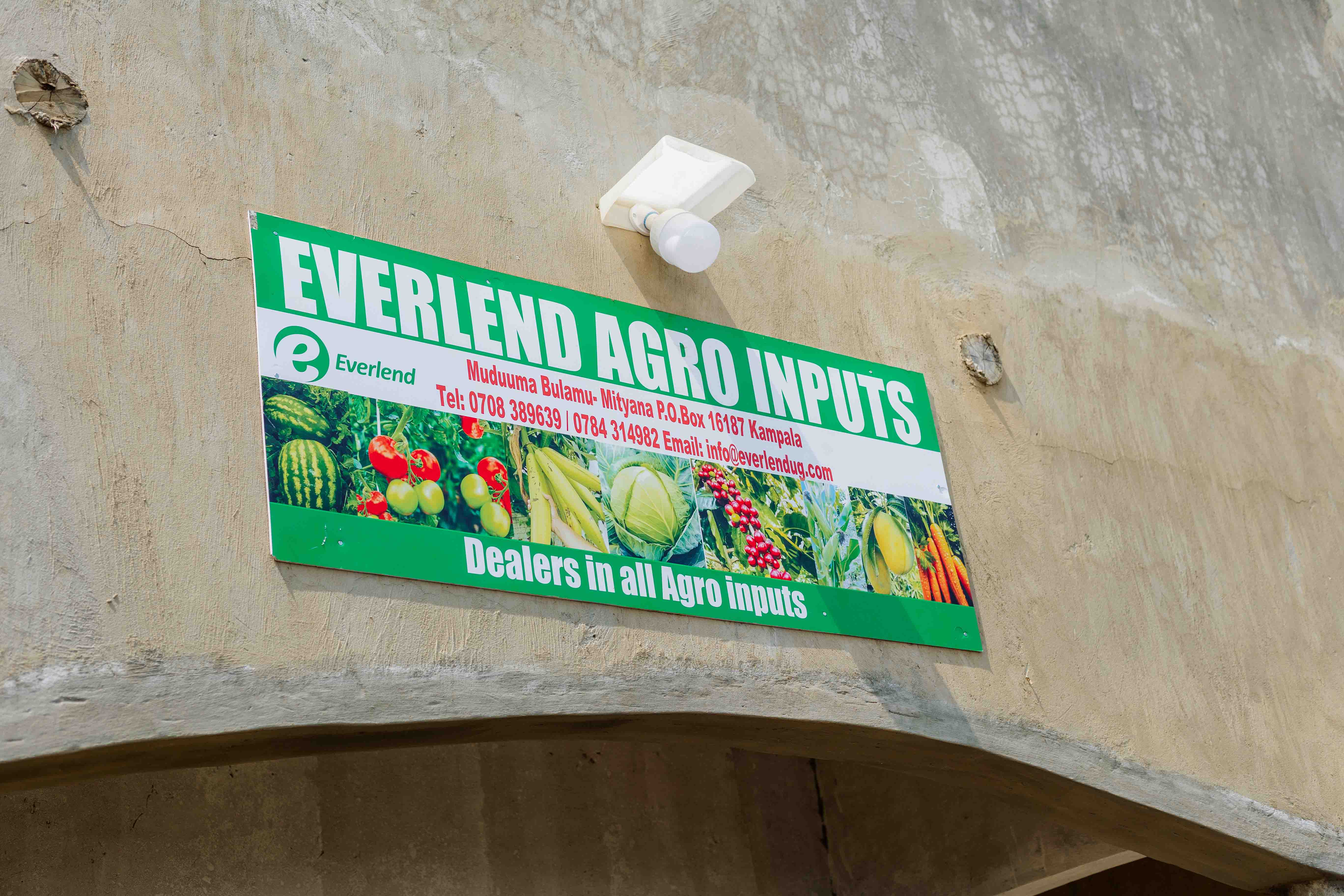 Understanding Price Trends for Maize and Beans in Uganda